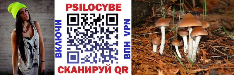Галлюциногенные грибы мухоморы  Евпатория 